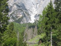 giro alto val canali (11)