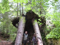 giro alto val canali (25)