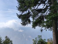 IMG 3604