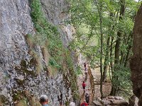 IMG 3618