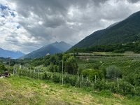 IMG 0814