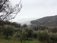 01 marcellise san briccio Febbraio 19 (18)
