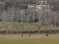 03 Padenghe Drugolo  febbraio  19 (38)