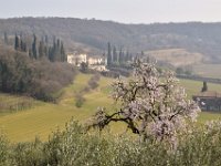 03 dorsale marzo 19 (28)