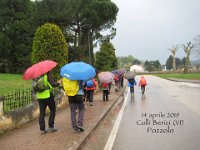 06 pozzolo calto colli berici aprile 19 (2)