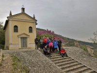 06 pozzolo calto colli berici aprile 19 (28)