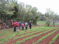 06 pozzolo calto colli berici aprile 19 (31)