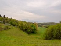 06 pozzolo calto colli berici aprile 19 (6)