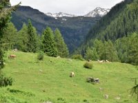 11 val di Rabbi giugno 19 (39)