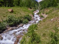 12  Lago pian di Palù luglio 19 (17)