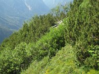 13 Fraccaroli Luglio 19 (10)