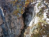 18 lago di Tret Ottobre 19 (11)