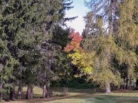 18 lago di Tret Ottobre 19 (12)