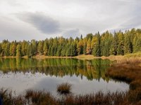 18 lago di Tret Ottobre 19 (9)