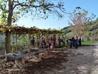 19 Cerro Veronese ottobre 19 (2)