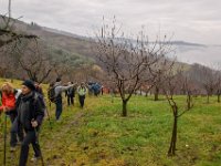 01 Mezzane San Briccio 26-01-2020 (13)