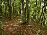 05 Campofontana 27 09 2020 (17)
