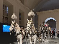 venaria  (2)
