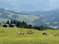 IMG E7850