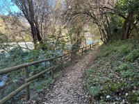 IMG 8661