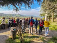 Castel Arquato (17) edited