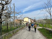sentiero dei Briganti Da Vernasca a Vigoleno (14)