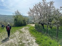 sentiero dei Briganti Da Vernasca a Vigoleno (2)