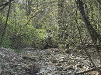 sentiero dei Briganti Da Vernasca a Vigoleno (3)