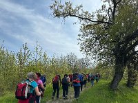 sentiero dei Briganti Da Vernasca a Vigoleno (4)