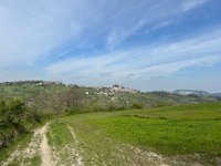 sentiero dei Briganti Da Vernasca a Vigoleno (5)