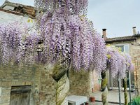 Soragna Rocca Meli Lupi (6)
