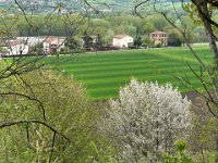 Torrechiara -Langhirano (20)