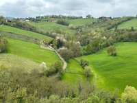 Torrechiara -Langhirano (27)