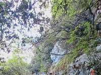Malcesine 27 04 25 (3)
