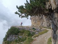 52 gallerie  (28)
