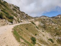 52 gallerie  (47)