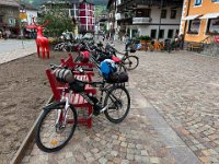 bici Alba canazei -Molina di Fiemme 08 06 25  (20)