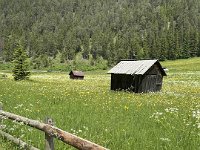 bici Alba canazei -Molina di Fiemme 08 06 25  (5)