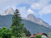 bici Alba canazei -Molina di Fiemme 08 06 25 (19)