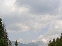 bici Alba canazei -Molina di Fiemme 08 06 25 (5)