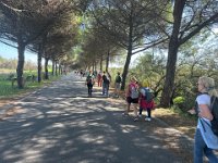 bibione 280925 (4)
