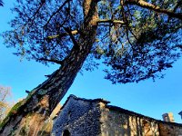 Lago di Cei 09 11 25 (10)