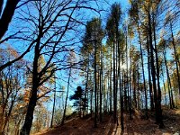 Lago di Cei 09 11 25 (17)