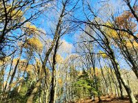 Lago di Cei 09 11 25 (19)
