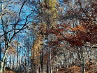 Lago di Cei 09 11 25 (21)