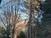 Lago di Cei 09 11 25 (22)