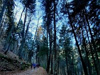 Lago di Cei 09 11 25 (23)