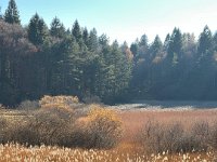 Lago di Cei 09 11 25 (26)