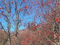 Lago di Cei 09 11 25 (3)