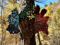 Lago di Cei 09 11 25 (31)